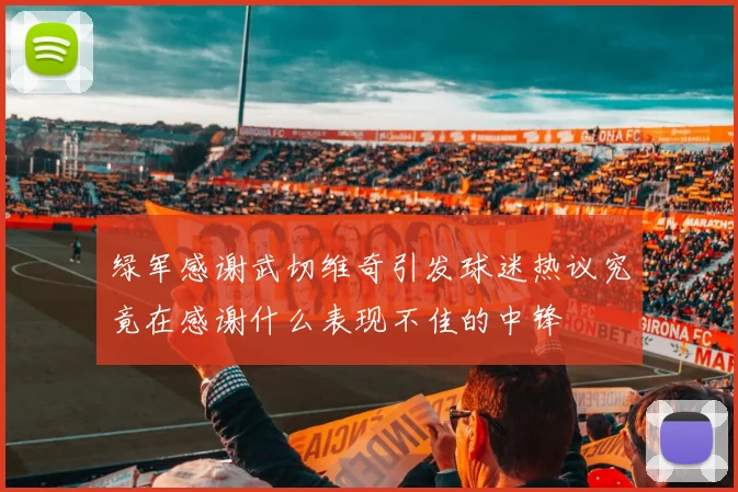 绿军感谢武切维奇引发球迷热议究竟在感谢什么表现不佳的中锋