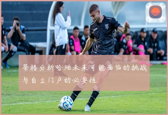 蒂格分析哈珀未来可能面临的挑战与自立门户的必要性